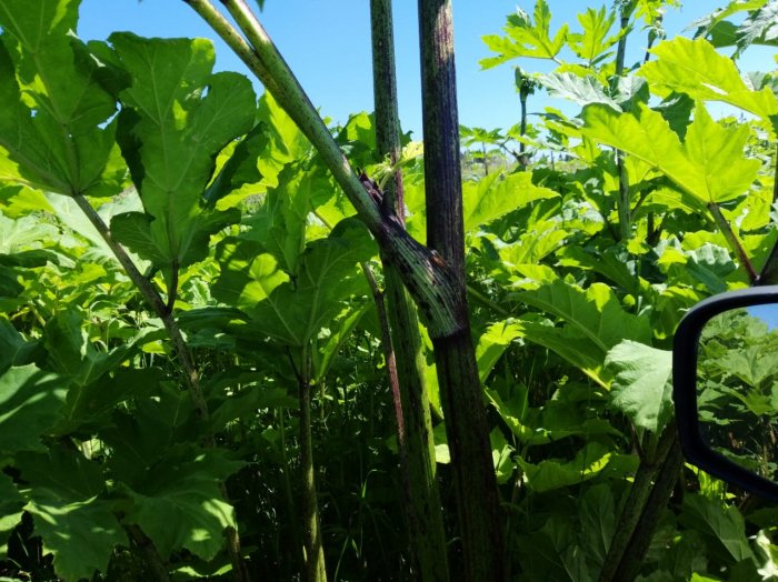 ����������� ��������� � ������ ������ ��� �����